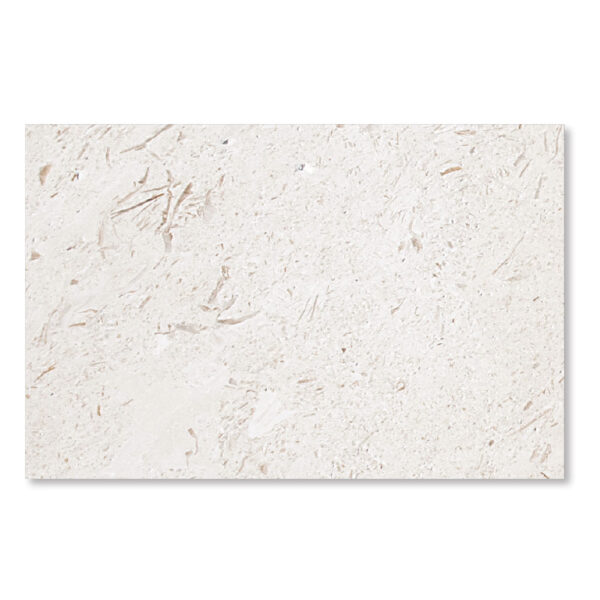 Shell Stone Limestone 1-1/4x16x24 Tumbled Paver