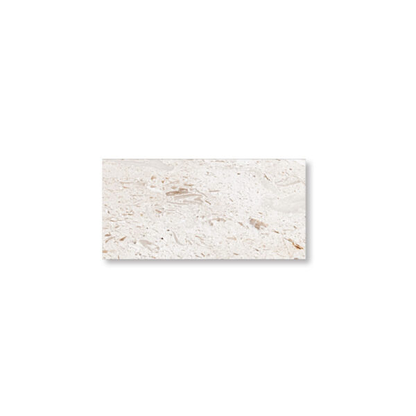 Shell Stone Limestone 1-1/4x6x12 Tumbled Paver